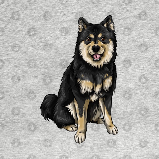 Finnish Lapphund Dog | Black and Tan by Shirin Illustration